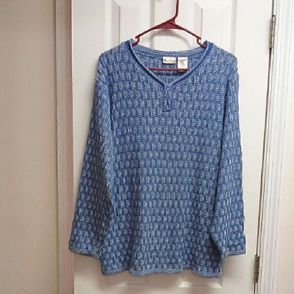 Bobbie Brooks Sweaters - 🩷BOBBIE BROOKS Danish Blue Pullover Long Sleeved Slight V Neck Sweater
